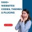websites-pluggin-1.jpg websites-pluggin-1.jpg